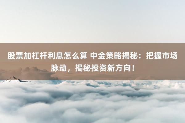 股票加杠杆利息怎么算 中金策略揭秘：把握市场脉动，揭秘投资新方向！