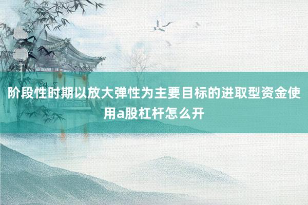 阶段性时期以放大弹性为主要目标的进取型资金使用a股杠杆怎么开